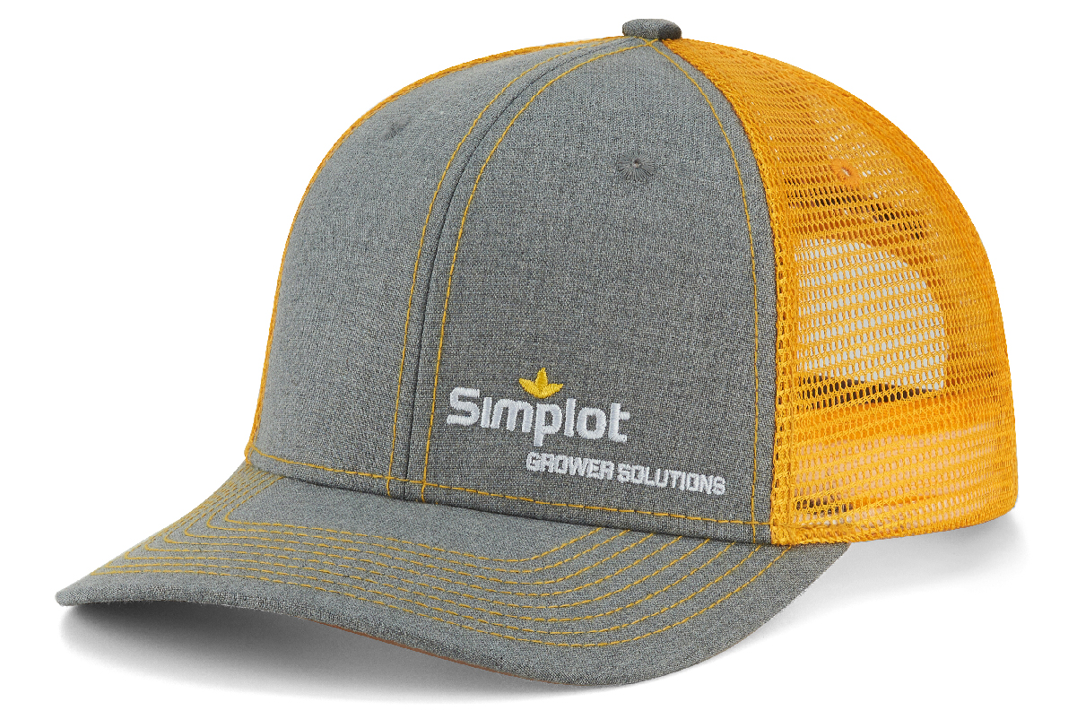 ps411-simplot